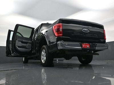 2023 Ford F-150 XLT 2WD SuperCrew 5.5' Box