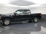 2023 Ford F-150 XLT 2WD SuperCrew 5.5' Box