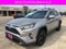 2019 Toyota RAV4 XLE AWD (Natl)