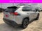 2019 Toyota RAV4 XLE AWD (Natl)